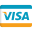 Visa Credit Card